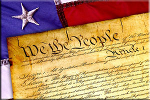constitution graphic